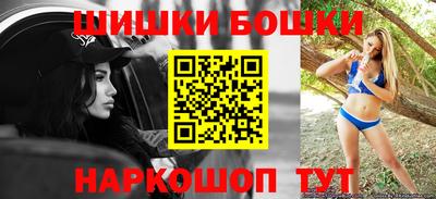 гашик Будённовск