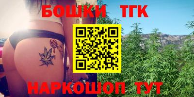 гашик Будённовск
