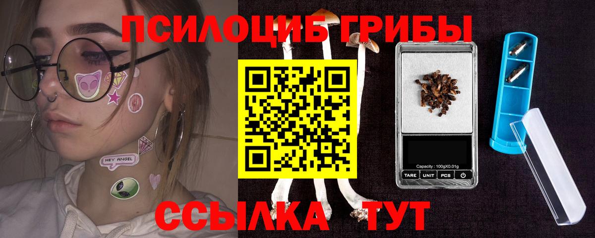 Псилоцибиновые грибы GOLDEN TEACHER Можга
