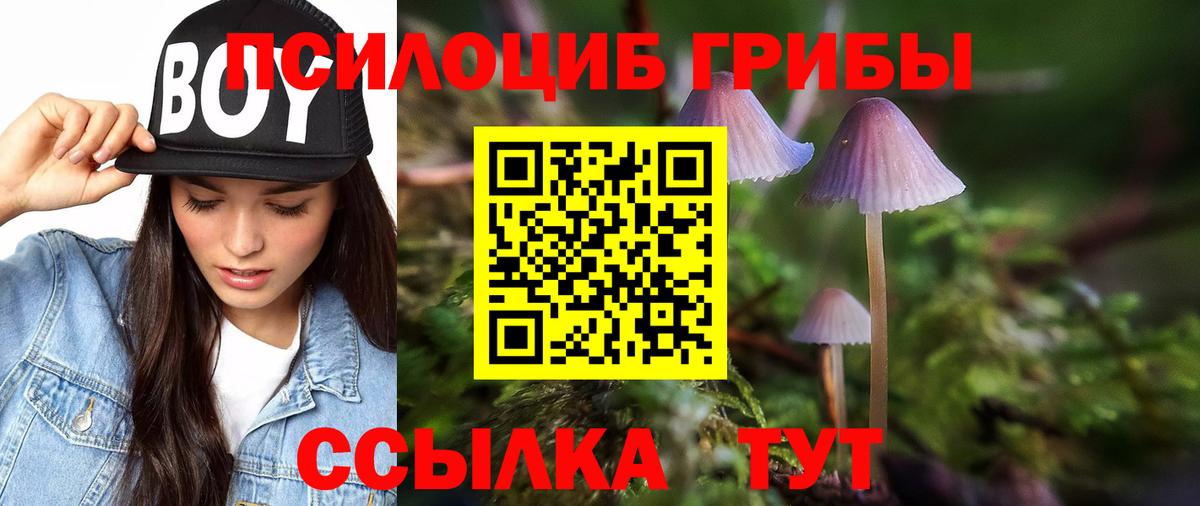 Можга  Галлюциногенные грибы Cubensis  цена наркотик  Вход с VPN 